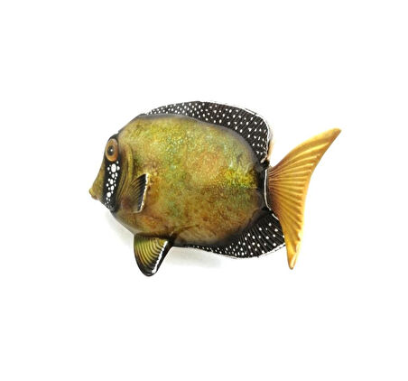 El Yapımı Dekoratif Renkli Duvar Süsü Balık Deniz ve Doğa Temalı Duvar Süsü Ev, Ofis, Kafe, Restoran ve Yazlık Dekorasyon Duvar Aksesuarı