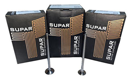 SUBAP TAKIMI / CLİO - KANGOO - TWİNGO / 105324116 -  7701473004/770