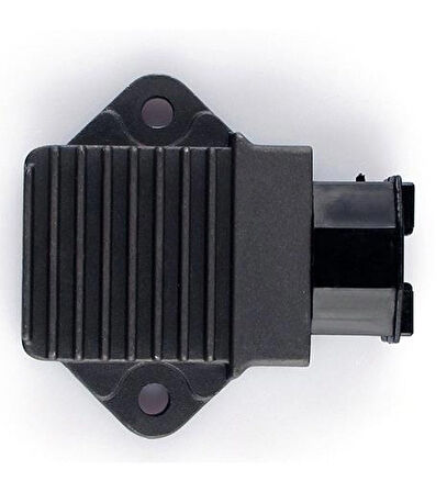 Honda Cbr 250 Konjektör_Supermoto