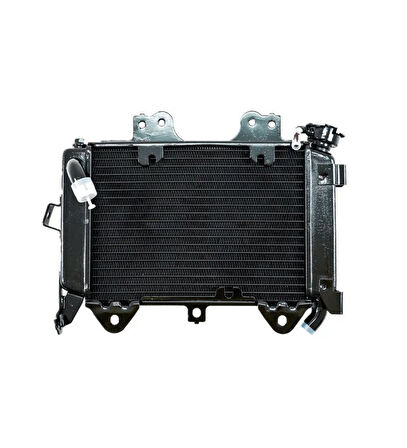 Bajaj Pulsar Ns 200 Radyatör Orjinal Tüm Yıllara Uygun ( Kapaksız ) _Supermoto