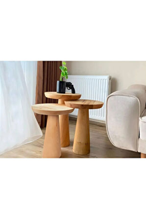 Mushroom Üçlü Zigon Sehpa