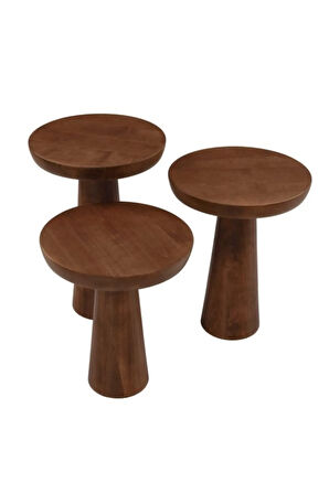 Mushroom Üçlü Zigon Sehpa