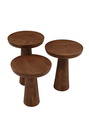 Mushroom Üçlü Zigon Sehpa
