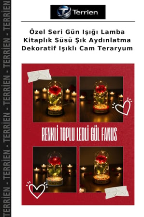 Özel Seri Gün Işığı Lamba Kitaplık Süsü Şık Aydınlatma Dekoratif Işıklı Cam Teraryum