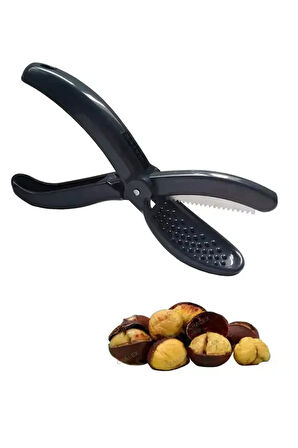 Siyah Kestane Çizeceği