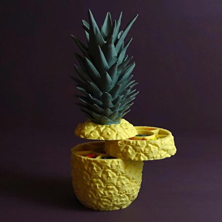 ANANAS SAKLAMA KUTUSU