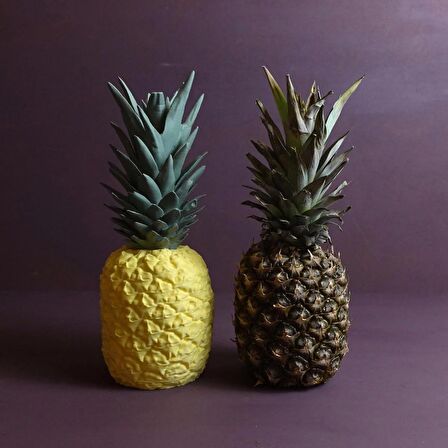 ANANAS SAKLAMA KUTUSU