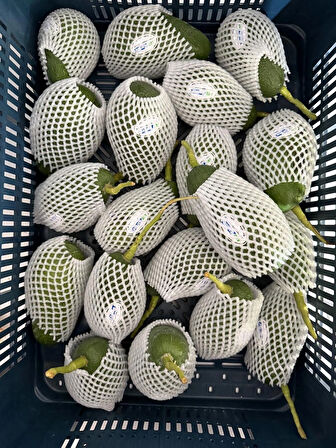 AvoGarden Taze Avokado 10'lu Paket - 250 gr üzeri