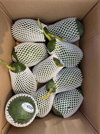 AvoGarden Taze Avokado 10'lu Paket - 200 - 250 gr