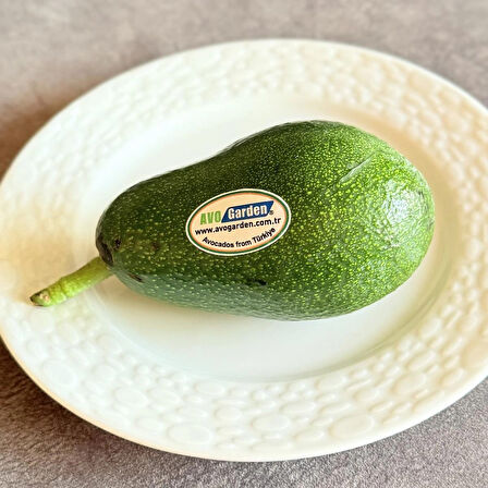AvoGarden Taze Avokado 15'li Paket - 250 gr Üzeri