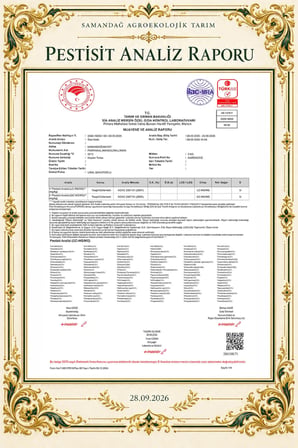 Samandağ Mandalina 10 kg kasa 