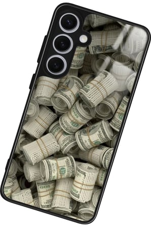 Samsung Galaxy S24 Uyumlu Money Tasarımlı Parlak Silikon Kılıf