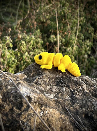 Oyuncak Leopar Kertenkelesi – Çölün Altın Deseni! 🌵🌞🦎🌟3D Hareketli Organik Model - Orta Boy