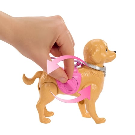 JJB46 ve Köpekçiğin Yürüyüş Zamanı