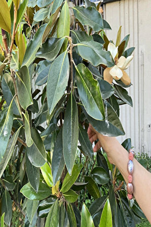 El Yapımı Mavi Turuncu Desenli Akrilik Boncuk Kadın Bileklik Günlük ve Şık