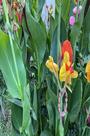 El Yapımı Mavi Turuncu Desenli Akrilik Boncuk Kadın Bileklik Günlük ve Şık