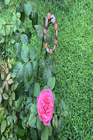 El Yapımı Mavi Turuncu Desenli Akrilik Boncuk Kadın Bileklik Günlük ve Şık