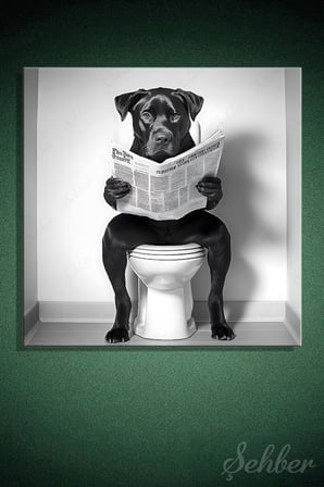 Dekoratif Kare Kanvas Tablo Tekli Ev Kafe Ofis Banyo Tuvalette Gazete Okuyan Köpek 1997