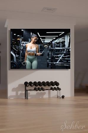 Yatay Kanvas Tablo Tekli Spor Salonu Fitness Eğitimi Dambıl Egzersizi Yapan Kadın 2263