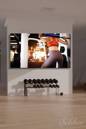 Yatay Kanvas Tablo Tekli Spor Salonu Fitness Eğitimi Egzersiz Barbell Pedi Ağırlık Antremanı 2334