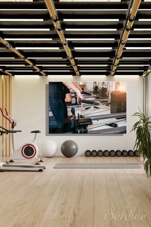 Kanvas Tablo Yatay Tekli Spor Salonu Fitness Eğitimi Egzersiz Balanced Body Allegro® Reformer 2361