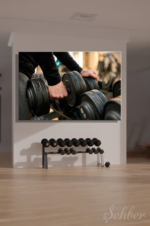 Yatay Kanvas Tablo Tekli Spor Salonu Fitness Eğitimi Dambıl Ağırlık Egzersiz 2438