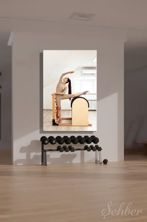 Dikey Kanvas Tablo Tekli Spor Salonu Lader Barrel İle Plates Esneklik Ve Denge Egzersizi 2904