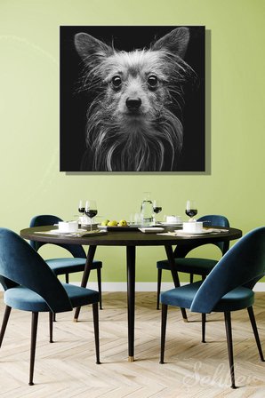 Yorkshire Terrier'in Yakın Çekim Portresi Siyah Beyaz Kare Kanvas Tablo Tekli Ev Kafe Ofis 3406