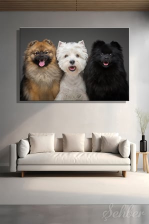 İki Spitz köpeği Ve Bir West Highland White Terrier Yatay Kanvas Tablo Tekli Ev Kafe Ofis 3440