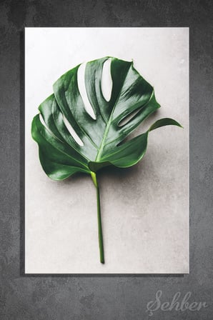 Gri Arka Plan Üzerinde Monstera Yaprağı İçeren Minimalist Dekoratif Dikey Kanvas Tablo Tekli 3466