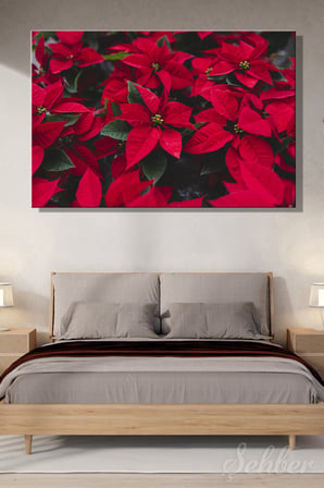 Canlı Kırmızı Yapraklarıyla Bilinen Atatürk Çiçeği (Poinsettia) Bitkisi Yatay Kanvas Tablo Tekli 3531