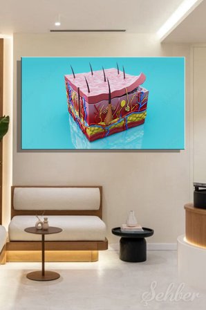 İnsan Derisinin Katmanları (Epidermis, Dermis, Hipodermis) 3D Anatomik Model Yatay Kanvas Tablo 3553
