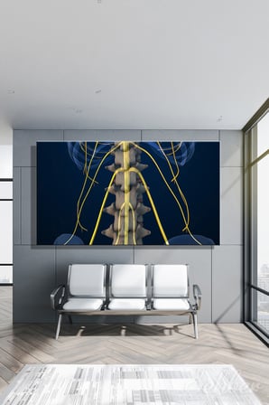 İnsan Anatomisi Bel Omurları Ve Sinir Yollarını Gösteren 3D Tıbbi İllüstrasyon Yatay Kanvas Tablo 3584