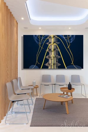 İnsan Anatomisi Bel Omurları Ve Sinir Yollarını Gösteren 3D Tıbbi İllüstrasyon Yatay Kanvas Tablo 3584