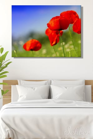 Canlı Kırmızı Gelincik Çiçekleri Yatay Kanvas Tablo Tekli 3762
