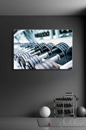 Spor Salonunda Farklı Ağırlıklara Sahip Dambıllar (El Halterleri) Yatay Kanvas Tablo Tekli 3957