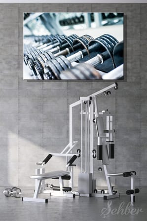 Spor Salonunda Farklı Ağırlıklara Sahip Dambıllar (El Halterleri) Yatay Kanvas Tablo Tekli 3957
