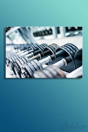 Spor Salonunda Farklı Ağırlıklara Sahip Dambıllar (El Halterleri) Yatay Kanvas Tablo Tekli 3957