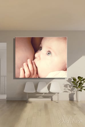 Bebeğin Anne Sütüyle Beslendiği Anı Gösteren Fotoğraf Yatay Kanvas Tablo Tekli 3965