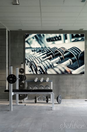 Spor Salonunda Sıralanmış Ağır Döküm Dambıllar Yatay Kanvas Tablo Tekli 3968