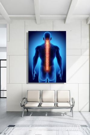 Omurgayı (Vertebral Kolon) Ve Sırt Anatomisi Tıbbi 3D İllüstrasyon Dikey Kanvas Tablo Tekli 3985