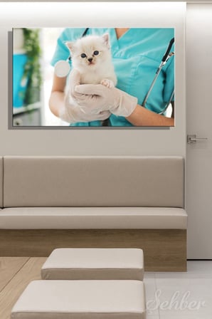 Kanvas Tablo Veteriner Kliniğinde Mavi Gözlü Bir Yavru Kedi Yatay Duvar Tablosu - 4061