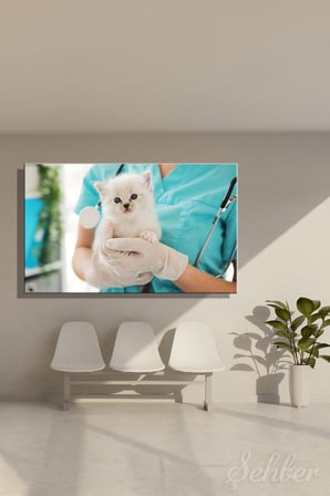 Kanvas Tablo Veteriner Kliniğinde Mavi Gözlü Bir Yavru Kedi Yatay Duvar Tablosu - 4061