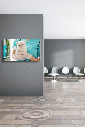 Kanvas Tablo Veteriner Kliniğinde Mavi Gözlü Bir Yavru Kedi Yatay Duvar Tablosu - 4061