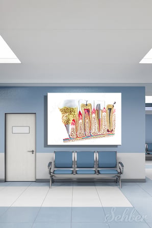 Kanvas Tablo Diş Patolojileri Kesitsel Bir Diş Ve Çene Anatomisi Yatay Duvar Tablosu - 4736
