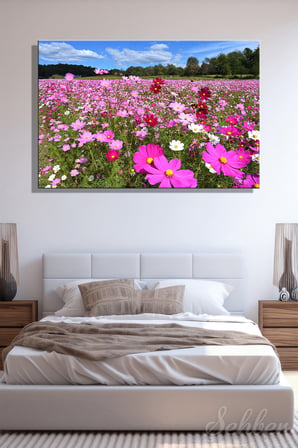 Pembe, Beyaz, Kırmızı Tonlarda Kozmos Çiçekleri Tarlası Manzarası Yatay Kanvas Tablo 4838