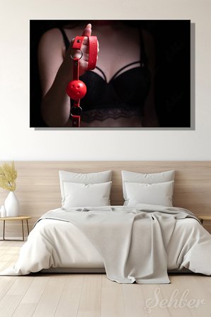 Yatay Kanvas Tablo Tekli BDSM Fetish Fantezi Oyuncak Kırmızı Top Ağızlık Ball Gag 2977