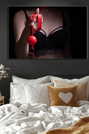 Yatay Kanvas Tablo Tekli BDSM Fetish Fantezi Oyuncak Kırmızı Top Ağızlık Ball Gag 2977