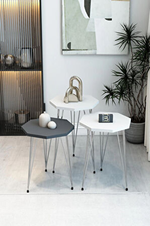 3'lü Sekizgen Zigon Sehpa Seti - Gümüş Metal Ayaklı, Modern & Şık Yan Sehpa, Dayanıklı Salon Ofis