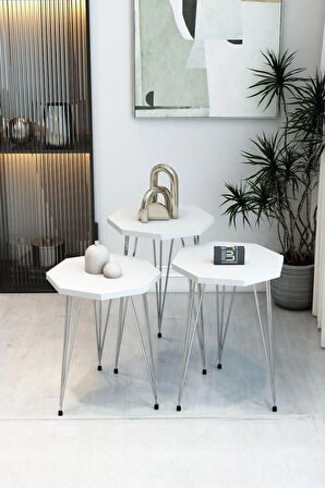 3'lü Sekizgen Zigon Sehpa Seti - Gümüş Metal Ayaklı, Modern & Şık Yan Sehpa, Dayanıklı Salon Ofis